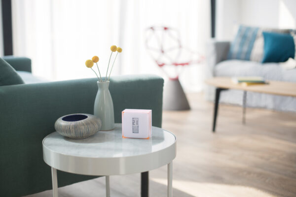 thermostat intelligent